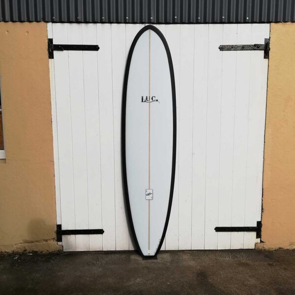 mini mal surfboard